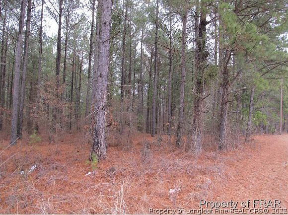2nd image of 210 Nc Hwy