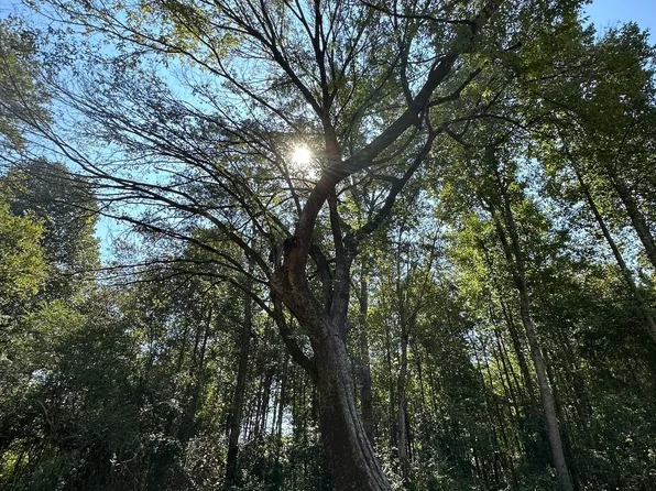 395 Beaver Pond Rd, Carrollton, GA 30117