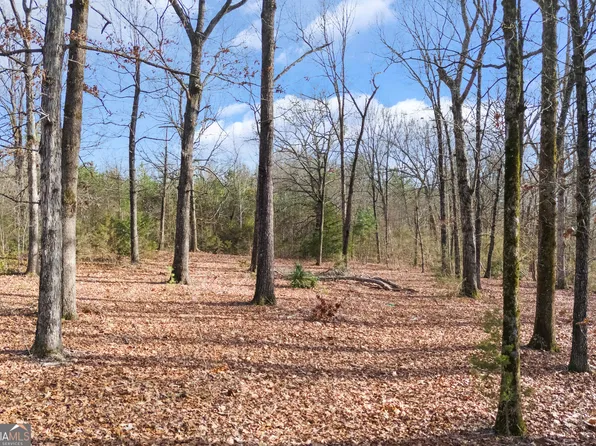 23 Hickory Log Cir, Eastanollee, GA 30538