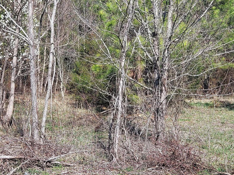 Lot 2 Momeyer Way, Nashville, NC 27856 Zillow