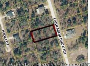 11355 Labrador Duck Rd, Weeki Wachee, FL 34614