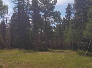 Stinson Pl, Fort Garland, CO 81133