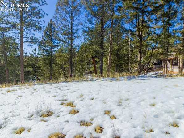 120 Illini Dr, Woodland Park, CO 80863