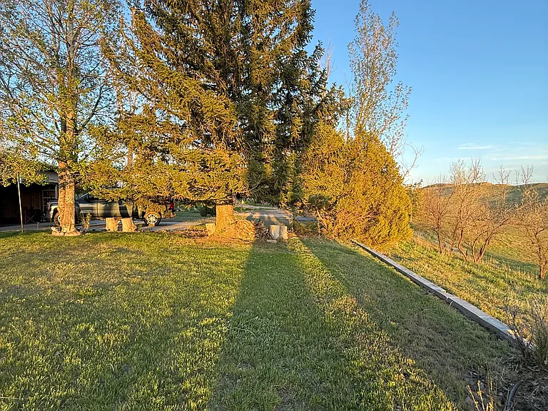 Cottontail Ln — Photo 38