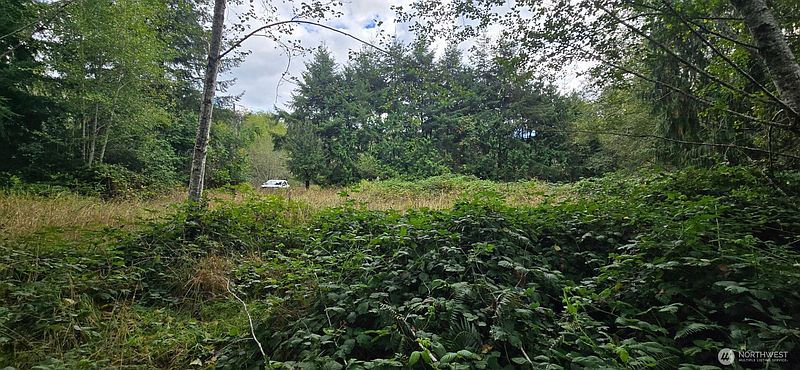 3rd image of 1351 Satsop Road W