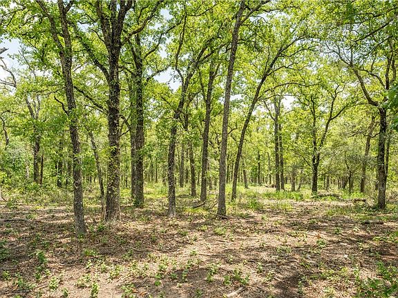 2nd image of 418D County Road 405