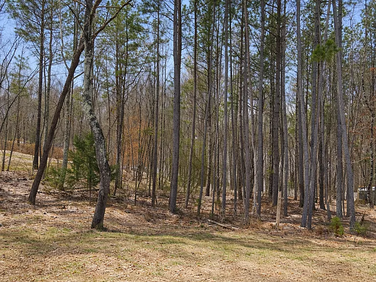 107 Spring View Ln — Photo 45