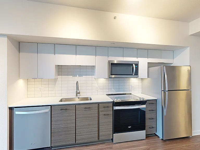 Apartment kitchen with stainless steel appliances, quartz countertops and wood-style flooring.