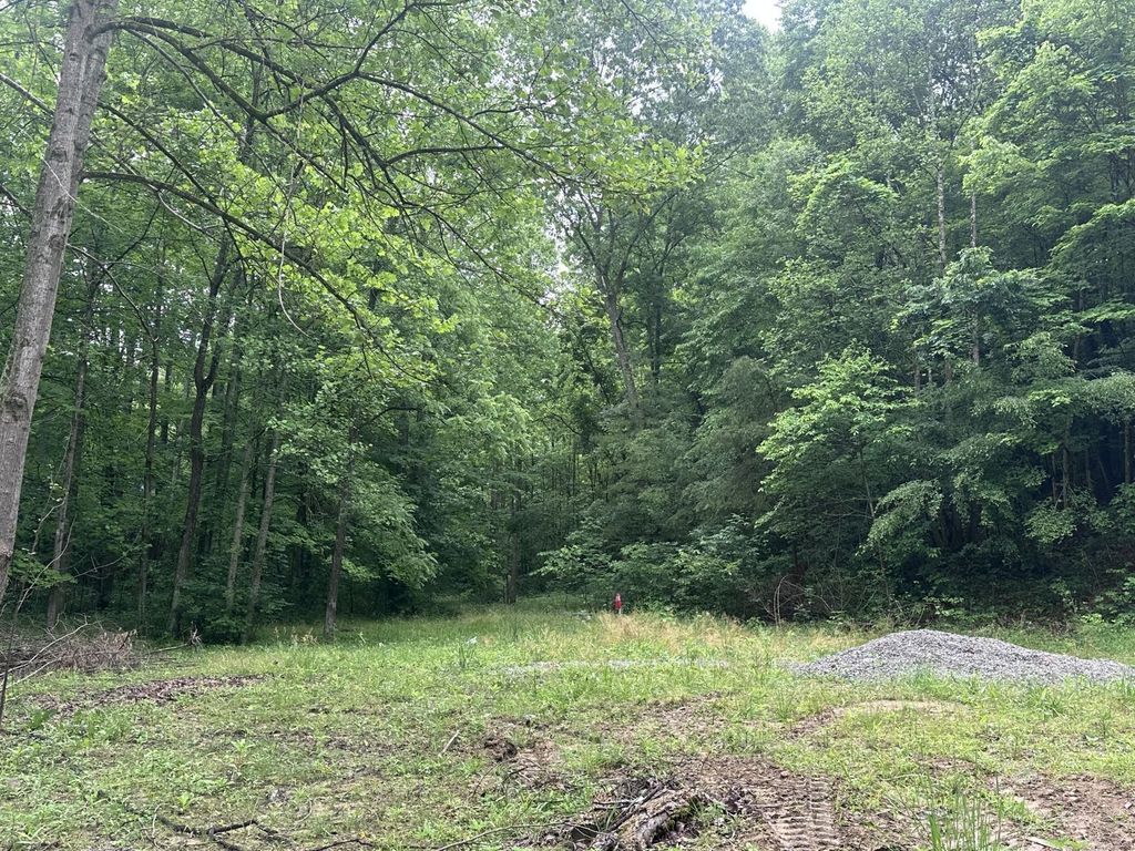 Real estate listing image