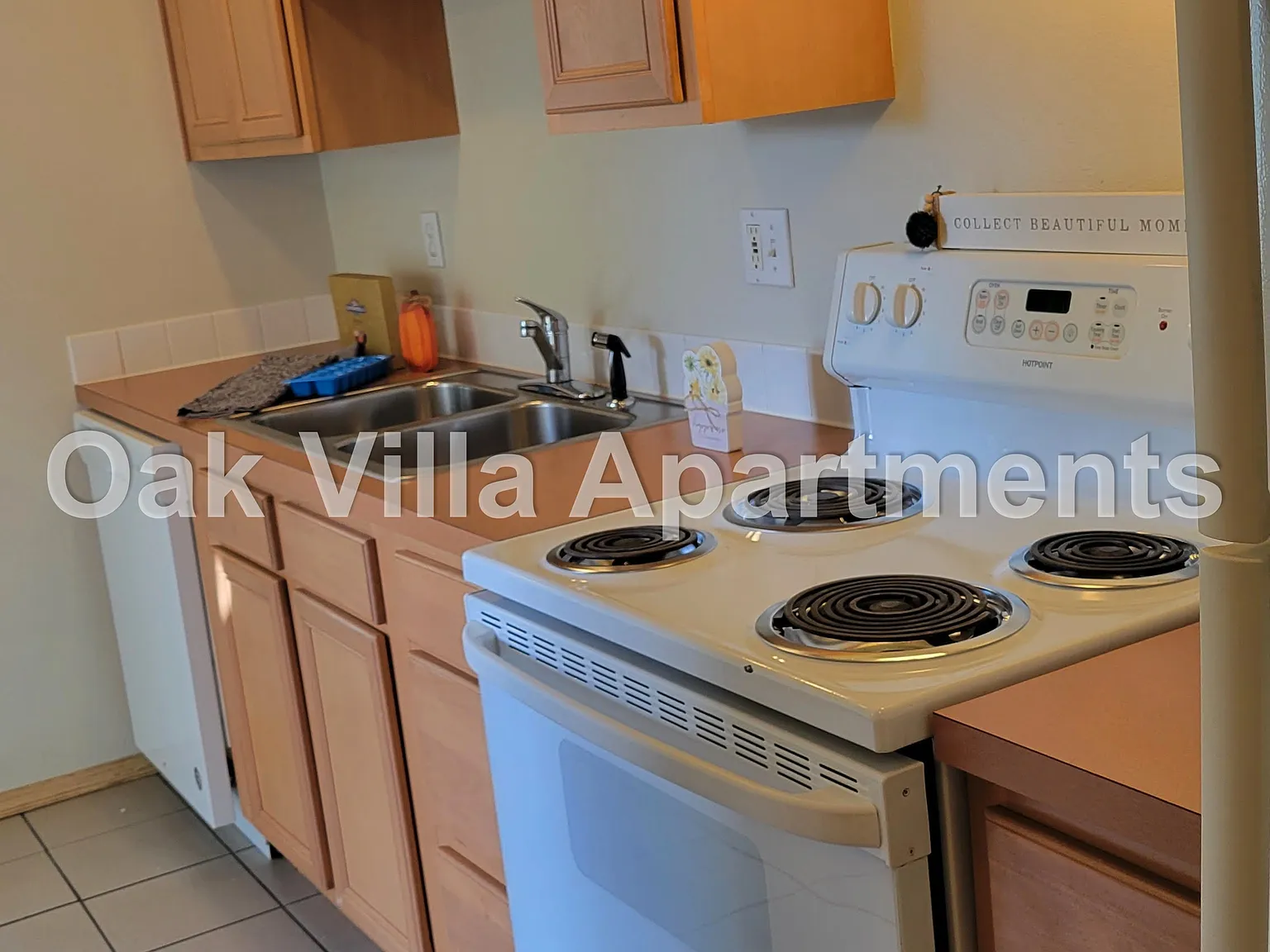 1 bed, 550 sqft, $1,250 — Photo 3