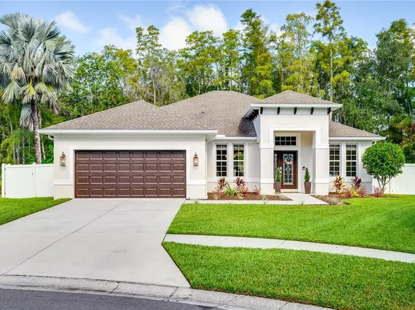 15925 Country Farm Pl, Tampa, FL 33624