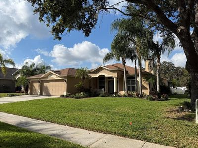 10319 Tarragon Dr, Riverview, FL, 33569