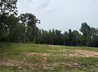 638 Nichols Ave, Eclectic, AL 36024