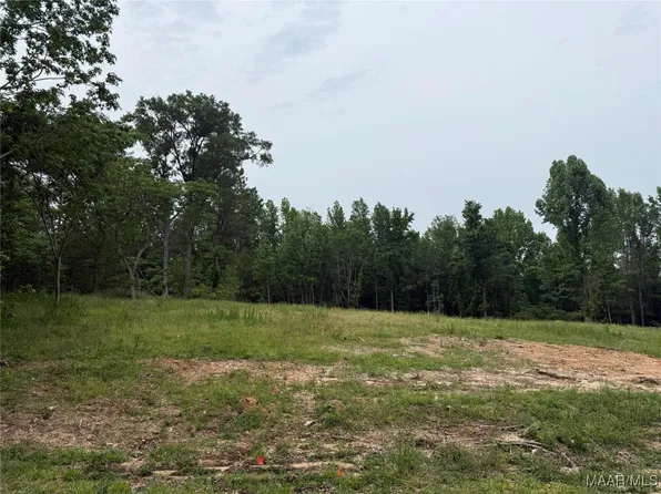 638 Nichols Ave, Eclectic, AL 36024