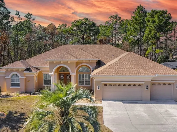 10 Snapdragons Ct, Homosassa, FL 34446