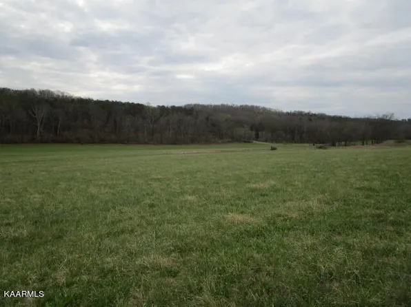 Lee Hwy, Blaine, TN 37709