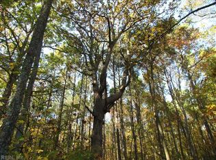 5204 Seaside Rd, Exmore, VA 23350