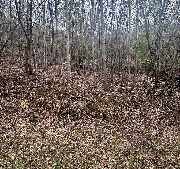 2nd image of 4 Buck Ridge Dr