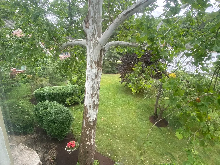 3315 Coryell Ln — Photo 27