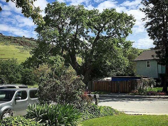 3rd image of 4905 Scarlett Way