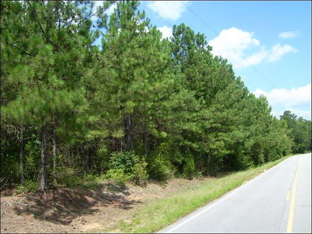 2nd image of 6359 Rousseau Creek Rd