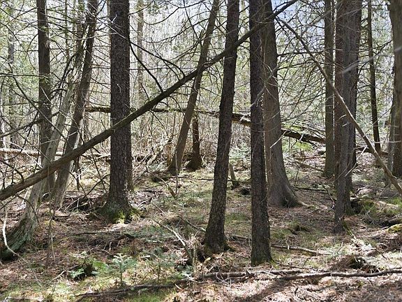 3rd image of Pratt Junction Rd