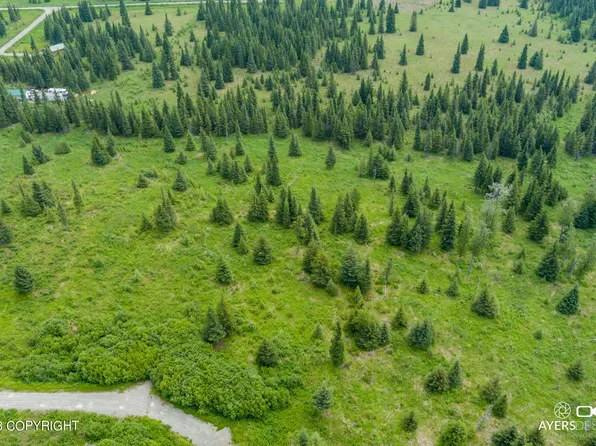 22722 Lowell St, Ninilchik, AK 99639