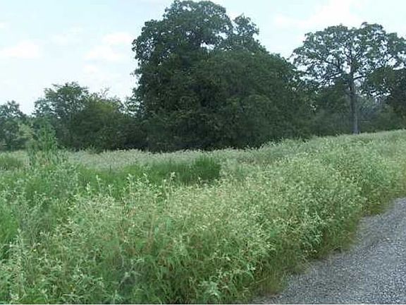 3rd image of 5354 County Road 358