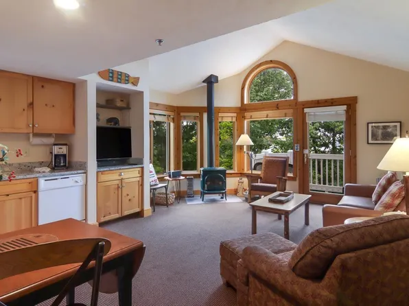 21 Stony Brook Ldg, Glen Arbor, MI 49636