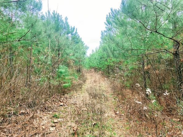 (undisclosed Address), Rosston, AR 71858