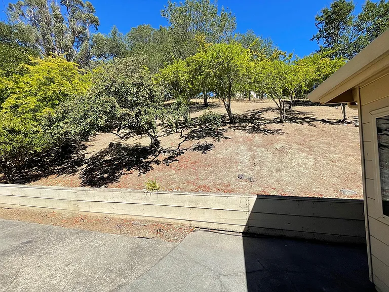 348 Glorietta Blvd — Photo 6