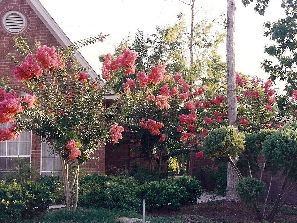 1st image of 4226 Misty Timbers Way