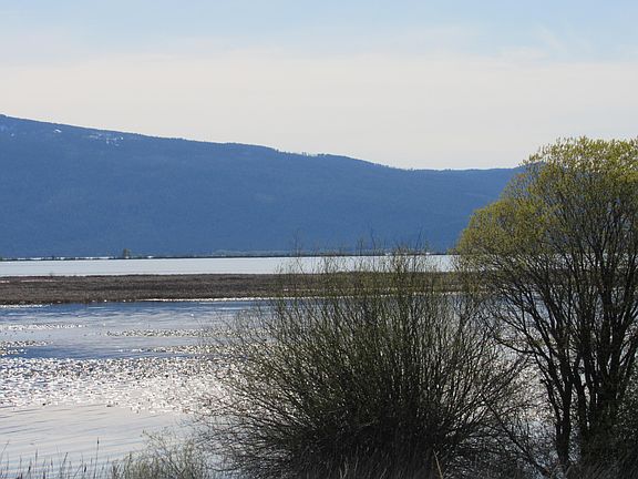 2nd image of 0 Modoc Point Rd