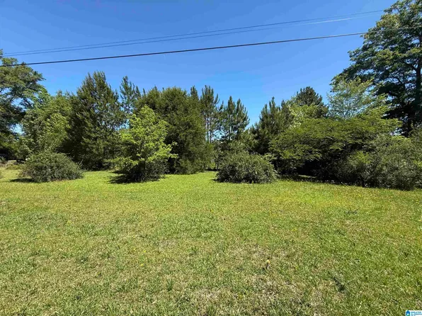 0 Coosa County Road 62 #0, Kellyton, AL 35089