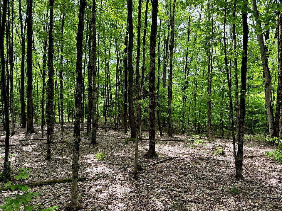 1st image of 1.10 Marsh Rd #10