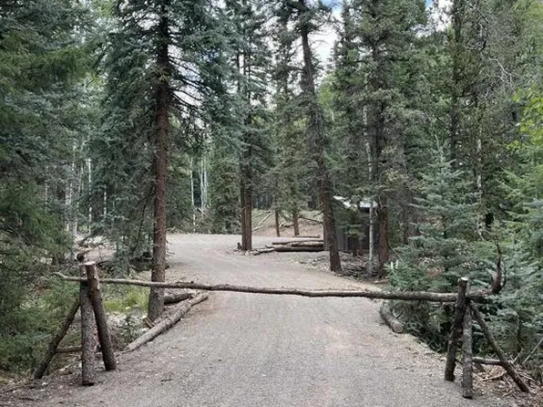 141 Alamosa Avenue, Jasper, CO 81144