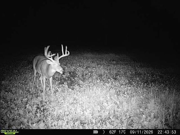 5th image of 68/ACRE S Badger
