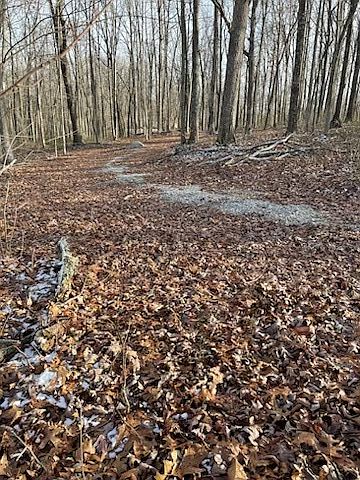 2nd image of 0 Wash Roberts Rd