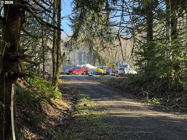 81739 Christmas Tree Rd, Seaside, OR 97138