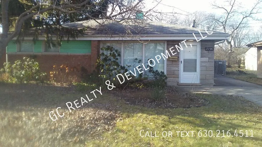 17236 Roy St photo 1