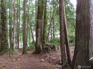 LOT Fifteen Tog Rd, Brinnon, WA 98320