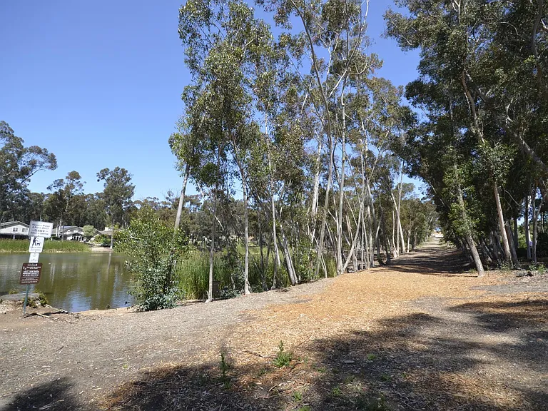 Walkway to pond