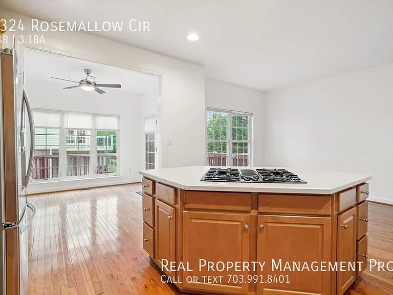 5324 Rosemallow Cir — Photo 6