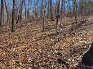 7.38 Tatum Lead Rd, Ellijay, GA 30540