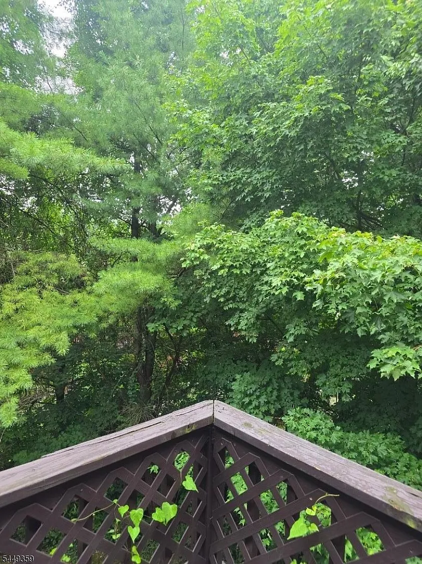 2 bed, 2.0 bath, $2,250 — Photo 2