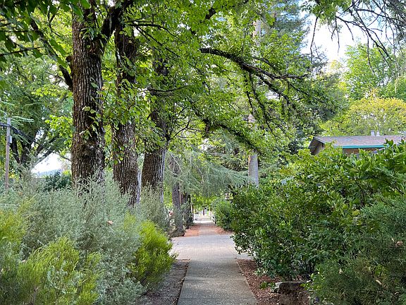 Looking down the sidewalk towards Sam's General Store