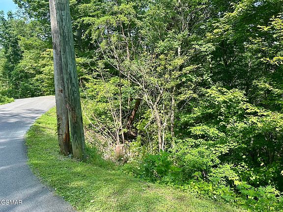 2nd image of 0 Dogwood Dr