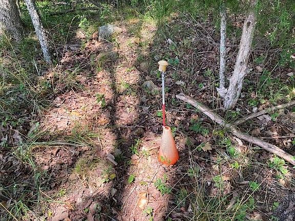5th image of Wild Turkey Trl