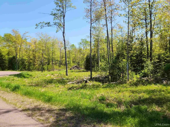 Greenway Dr Unit 6, Chassell, MI 49916