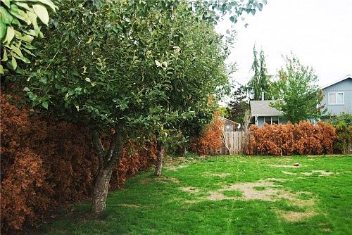 4th image of 7011 64th Ave NE